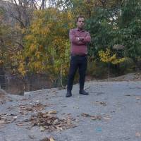 امیر بهارلو پروفایل