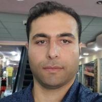 شروین رنجبر پروفایل