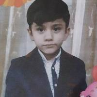 موسوی نسب پروفایل
