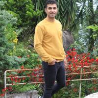 مجتبی مرادی پروفایل