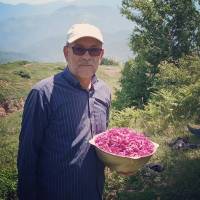 مشاور املاک سعید حاج فتحی  پروفایل