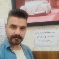 محمد اسدی پروفایل
