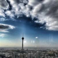 پوریا مصباحی پروفایل