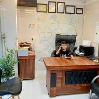محمدرضا شمالی پروفایل