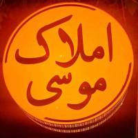 مرتضی حدیدی پروفایل