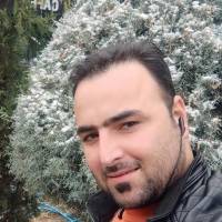 مشاور حامدشعبانی پروفایل