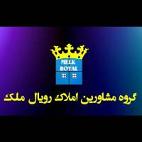 سیدرضارضوانی پروفایل
