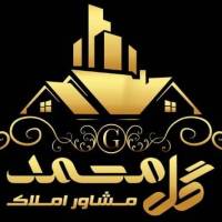 آرمین محمودی پروفایل