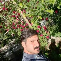 محسن آقاجانی  پروفایل