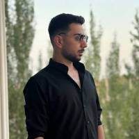مشاور مشاور امور ملکی امیر نوروزی  پروفایل