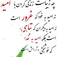 محمدعلی نیکقدم پروفایل