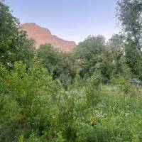مجید رمضانپور حسن ابادی پروفایل