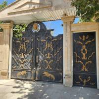 خانم رسولی پروفایل