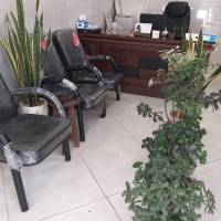 علیرضا صالحی پروفایل
