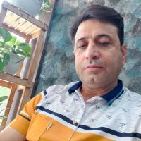 علی حمامی پروفایل