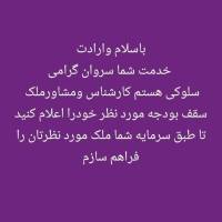 مهندس سلوکی پروفایل