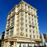 ایمان دامیده پروفایل