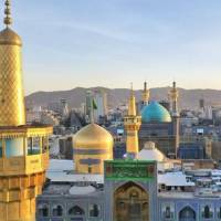 مالک رجبی پروفایل