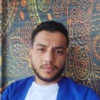 مشاور محمد گلی بارویی پروفایل