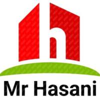 مهندس حسنی پروفایل