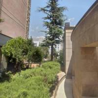 دانیال فلاح پروفایل