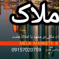  محسن برجسته MELK MARKETE 8 هشت  پروفایل