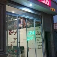 موسی فیل سوار پروفایل