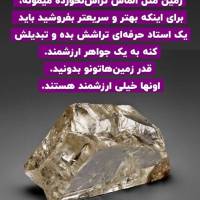 محمد قربانی پروفایل