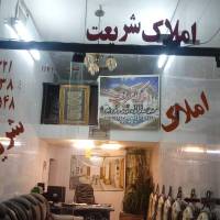 محمدحسین شریعتمداری پروفایل
