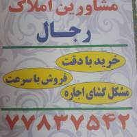 پیمان شکرآوی پروفایل