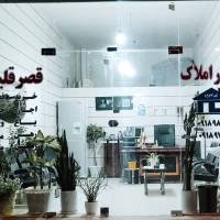 فرزاد رضاقلی پروفایل