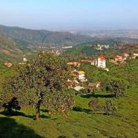 مهدی پروفایل