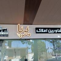 پویا پورطهماسبی پروفایل