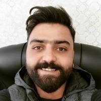 محمد مهدی لطفی پروفایل