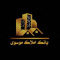 سید میثم موسوی پروفایل