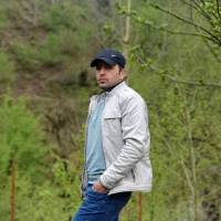 محمد حسن نجفی پروفایل