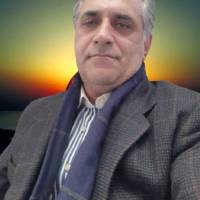 فرهاد رجبی پروفایل