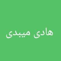 هادی میبدی پروفایل