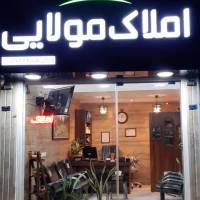 mojtaba molaei پروفایل