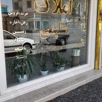 علی سلیمی پروفایل