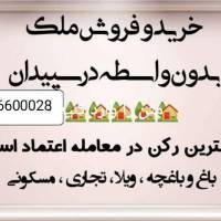 احمدی پروفایل