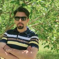 مشاور ابراهیم روستایی  پروفایل