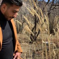 مهدی بهرام نژاد پروفایل
