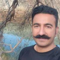 امین حمیدیان پروفایل