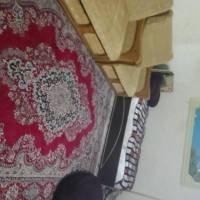 زاهد دهانی پروفایل