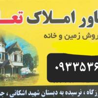 جواد منتقمی  پروفایل