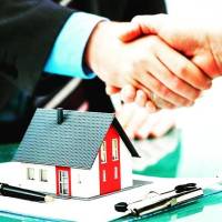 علیرضا حمدی پور پروفایل