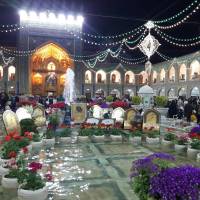 حسین ملکی پروفایل