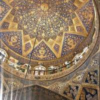 آیلاشفیعی پروفایل