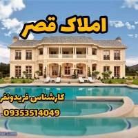 دانیال فریدونفر پروفایل